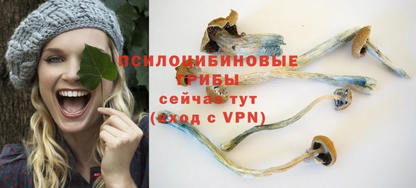 спайс Покачи