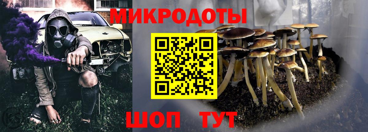 Слободской  Псилоцибиновые грибы мухоморы  Вход с VPN 